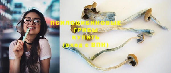индика Магадан