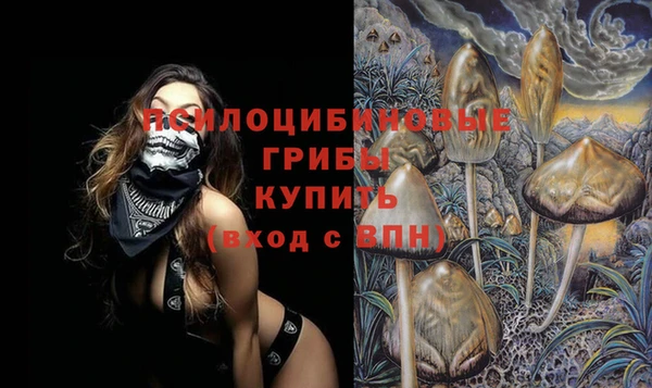 гашик Магас