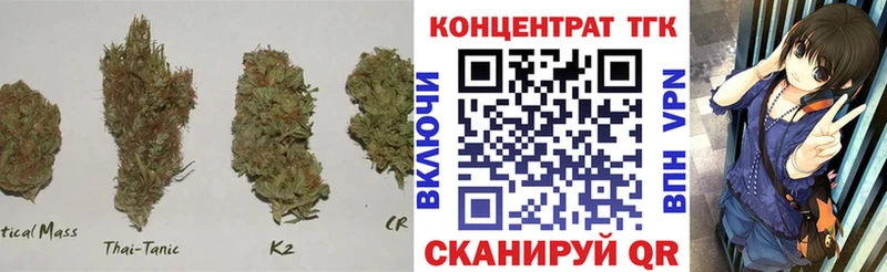 Купить  Могоча  Дистиллят ТГК гашишное масло 