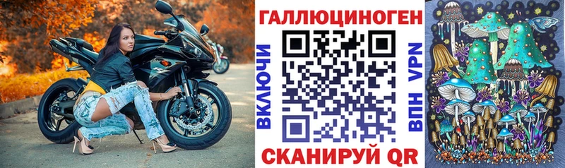 Купить Могоча Галлюциногенные грибы MAGIC MUSHROOMS